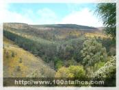 Click na foto para ampliar!