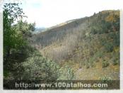 Click na foto para ampliar!