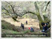 Click na foto para ampliar!