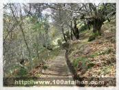 Click na foto para ampliar!