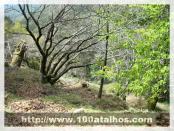 Click na foto para ampliar!