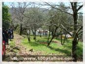 Click na foto para ampliar!