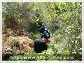 Click na foto para ampliar!