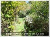 Click na foto para ampliar!