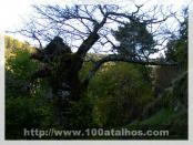 Click na foto para ampliar!