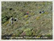 Click na foto para ampliar!