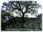 Click na foto para ampliar!