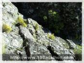 Click na foto para ampliar!