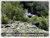 Click na foto para ampliar!