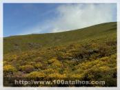 Click na foto para ampliar!