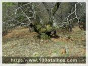 Click na foto para ampliar!