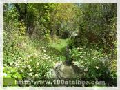 Click na foto para ampliar!