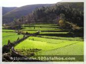 Click na foto para ampliar!