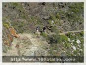 Click na foto para ampliar!