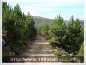 Click na foto para ampliar!