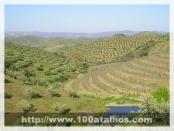 Click na foto para ampliar!