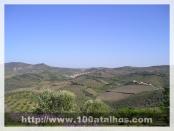 Click na foto para ampliar!