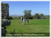 Click na foto para ampliar!