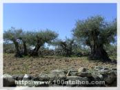 Click na foto para ampliar!