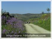 Click na foto para ampliar!