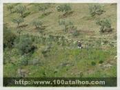 Click na foto para ampliar!