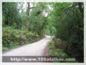 Click na foto para ampliar!