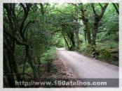 Click na foto para ampliar!