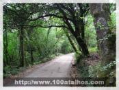 Click na foto para ampliar!