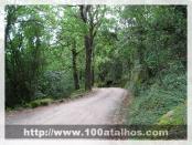 Click na foto para ampliar!