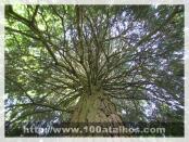 Click na foto para ampliar!