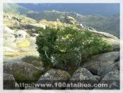 Click na foto para ampliar!