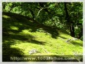 Click na foto para ampliar!