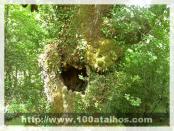 Click na foto para ampliar!