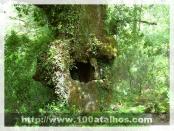 Click na foto para ampliar!