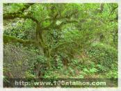 Click na foto para ampliar!