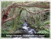 Click na foto para ampliar!