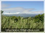 Click na foto para ampliar!