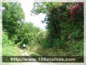 Click na foto para ampliar!