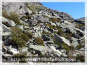 Click na foto para ampliar!