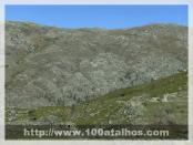 Click na foto para ampliar!