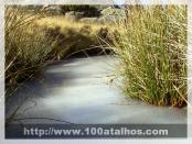 Click na foto para ampliar!