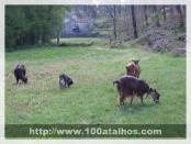 Click na foto para ampliar!