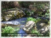 Click na foto para ampliar!