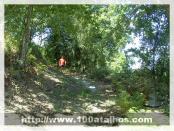 Click na foto para ampliar!