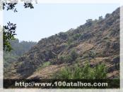 Click na foto para ampliar!