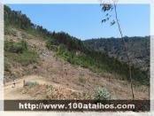 Click na foto para ampliar!