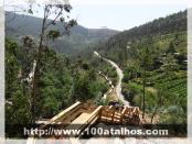 Click na foto para ampliar!