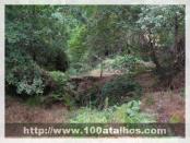 Click na foto para ampliar!