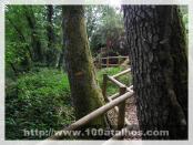 Click na foto para ampliar!