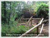 Click na foto para ampliar!